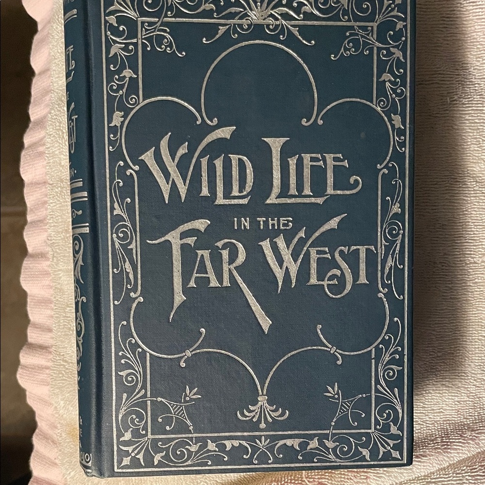 Wild life in the Far West HB 1896 Indians & outlaws of Montana Simpson